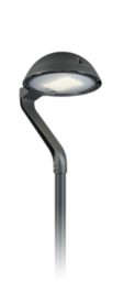 TownTune Asymmetric Lyre DTD
