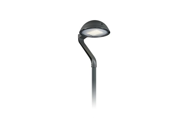 TownTune asimétrica Lyre DTD