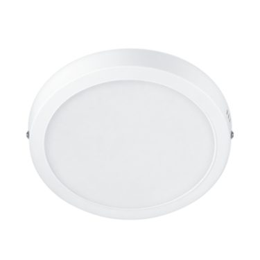 PILA DL052 SF RD MV 20240702