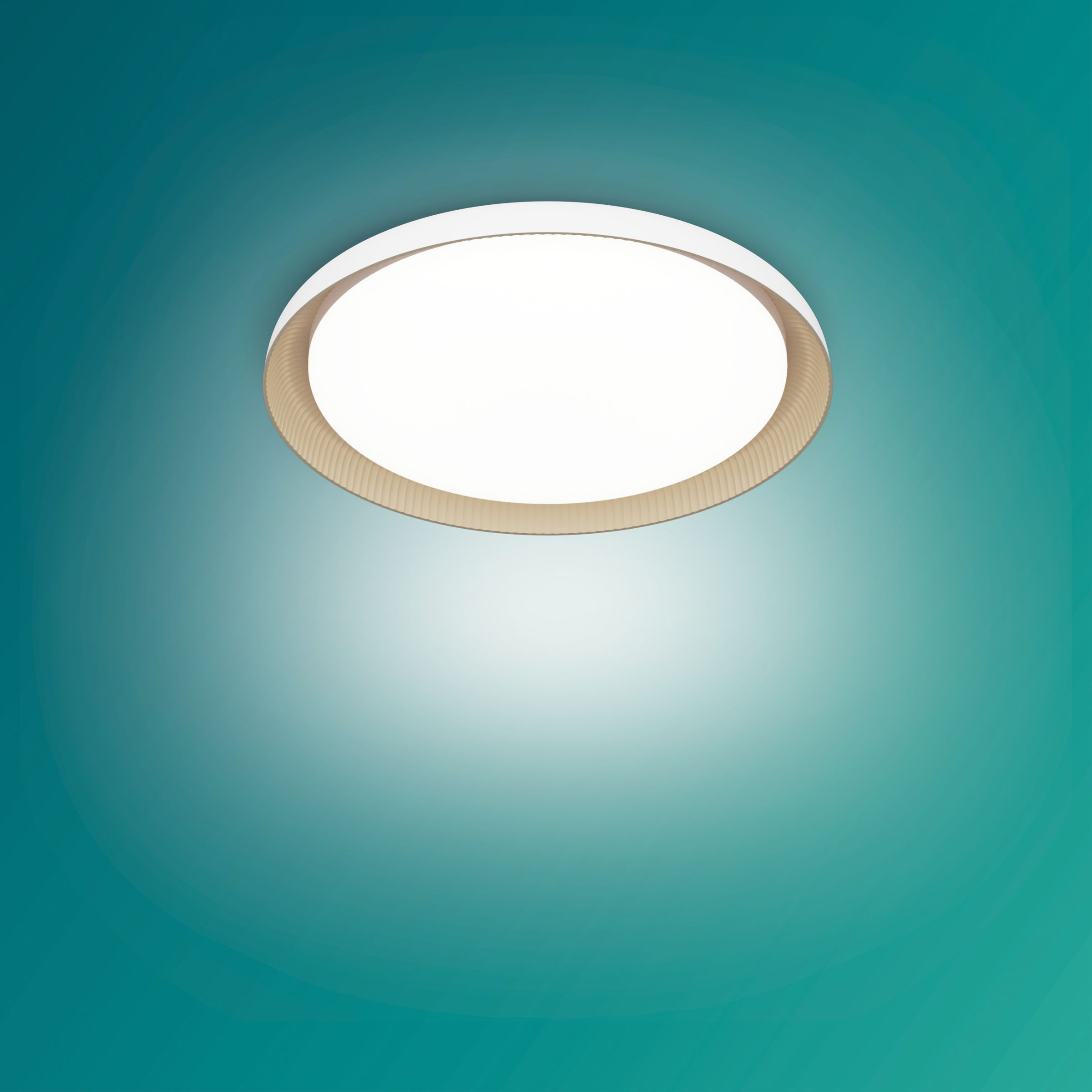 Ultra Efficient Ceiling Light 10 W 8720169301078 Philips