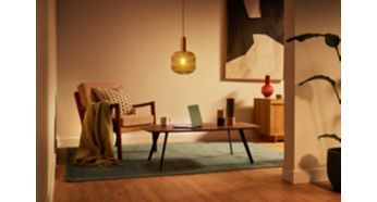 Dimmable (LED Lamps)