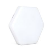 Functional Downlight
