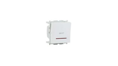 Switches & Sockets DP Switch