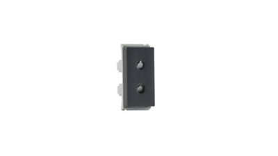 Switches & Sockets 2 Pin socket