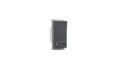 Switches & Sockets 1 Way Switch with Indicator