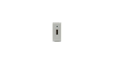 Switches & Sockets 2.1 A USB Charger