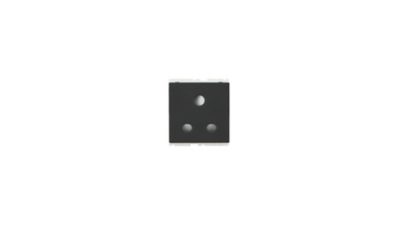 Switches & Sockets 2/3 Pin socket