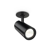 Accent downlights