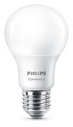 LED bulbs