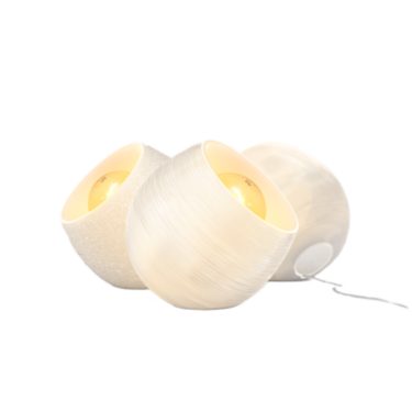 Shell Family