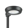 BDS300 LED60/730-1P DM16P 60P