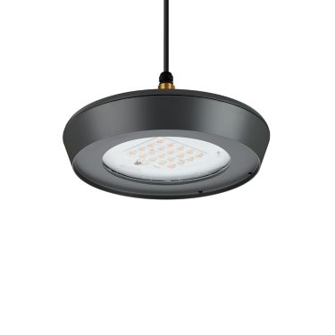 CityVario Suspended/Catenar