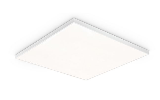 NatureConnect Daylight