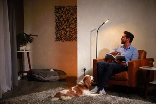 Hue Smart Plug