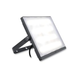 SmartBright LED Floodlight