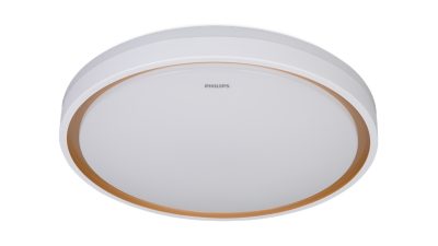 吸顶灯 吸顶灯 36 瓦