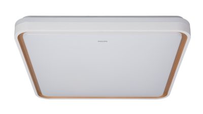 吸顶灯 吸顶灯 60 瓦方形