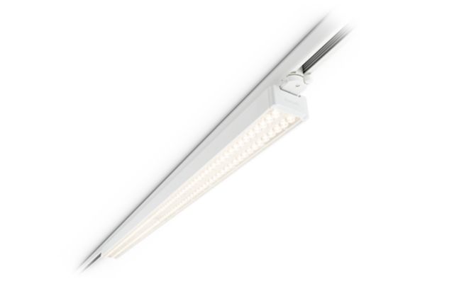 StoreSet Linear