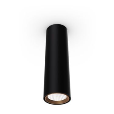 Accent Surface Mounted D65-TCSM65-10S-830-DIA-HMB-FG-T102-BK482-BS