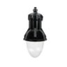 Teadrop LED Pendant (TXF9) 32 LED, 350mA, 3000K, Flat Glass, Type II