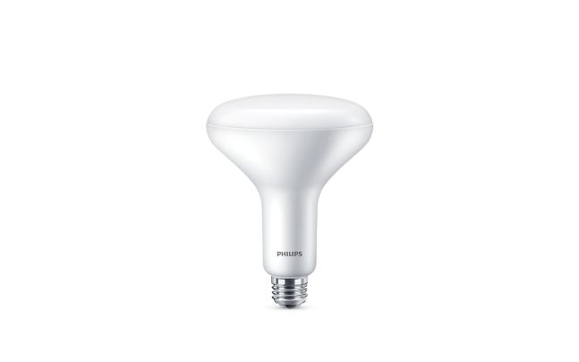 LED BR40