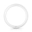 22 W G10q Cool daylight Circular fluorescent