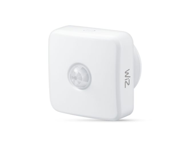 main.alt.text.RTP.Motion Sensor