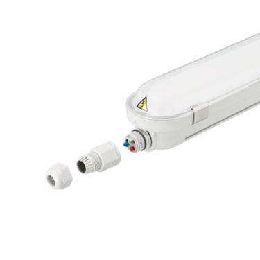Philips CoreLine waterproof gen3 | 107693638 | Signify