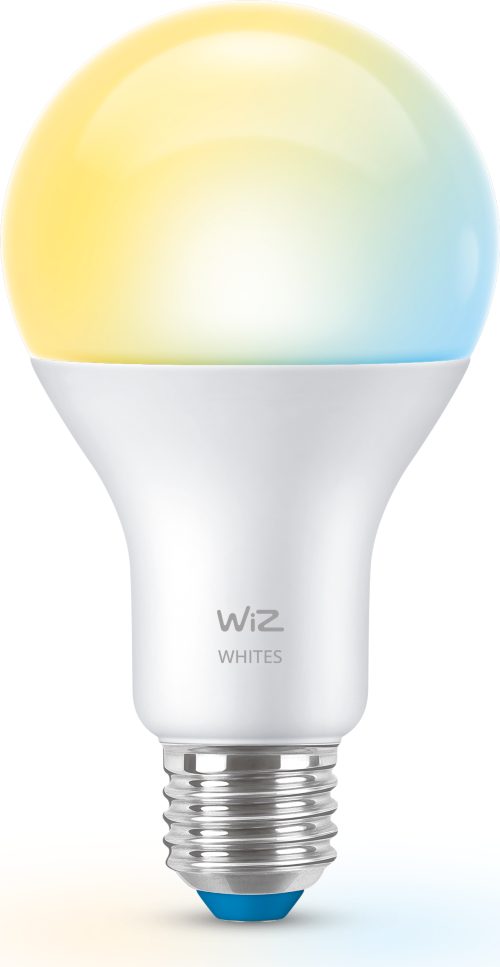 MODERN BULB Bulb 100W A67 E27