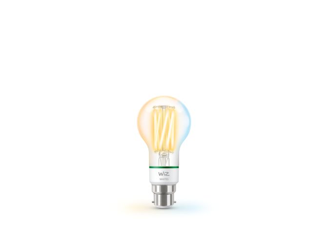 main.alt.text.RTP.FILAMENT BULB Filament clear 60 W A60 B22