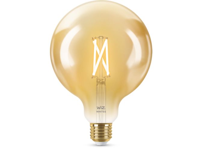 main.alt.text.RTP.Filament Globe Amber 50W G125 E27
