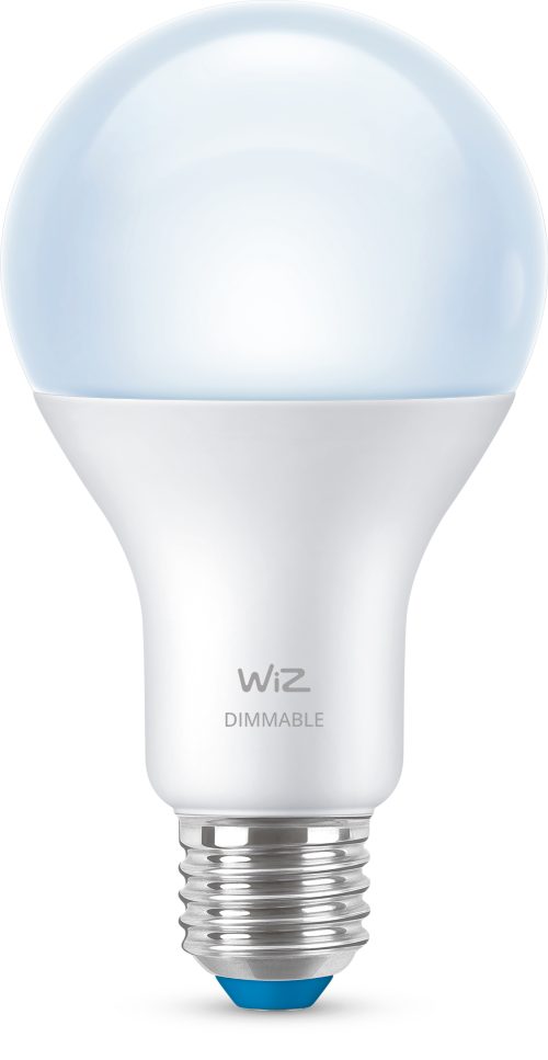 FOCO MODERNO Foco 100 W A21 E26