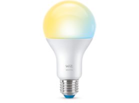 Bulb 100W A21 E26