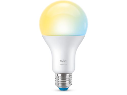 MODERN BULB Bulb 100W A21 E26