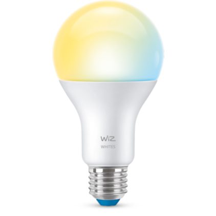 Close-up van de voorkant van Lamp 100 W A67 E27