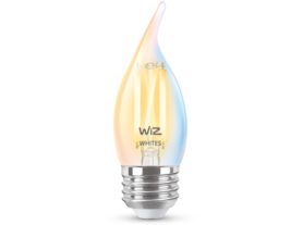 Filament Bulb Clear 40W BA11 E26