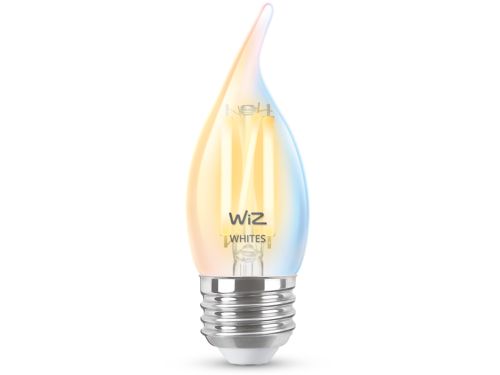 FILAMENT BULB Filament Bulb Clear 40W BA11 E26