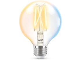 Filament Bulb Clear 60W G25 E26