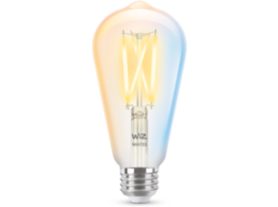 Filament Bulb Clear 60W ST19 E26