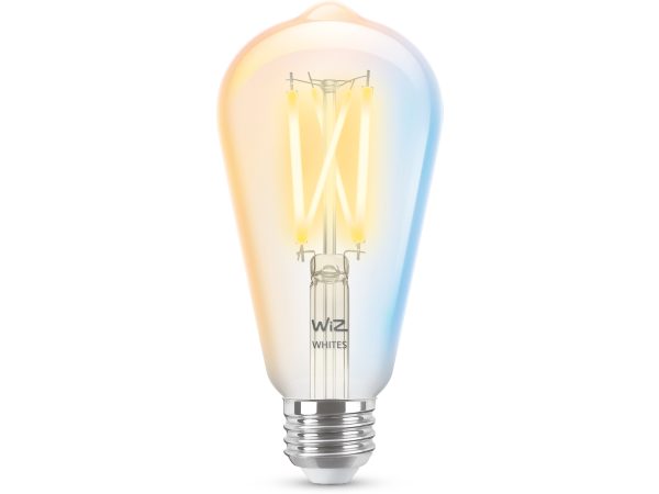 Filament Bulb Clear 60W ST19 E26