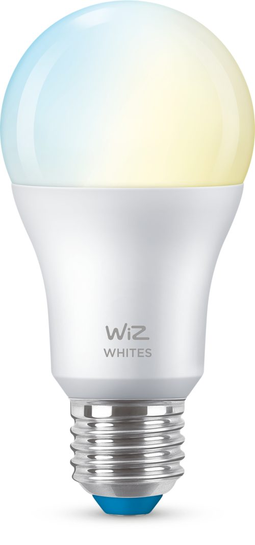 FOCO MODERNO Ampolleta de 60W A60 E27