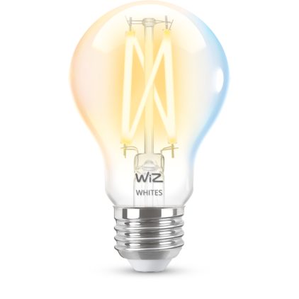 Gros plan de l’avant de Ampoule transparente à filament A19 E26 de 60 W