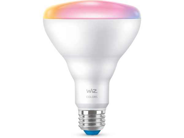 Reflector 65W BR30 E26