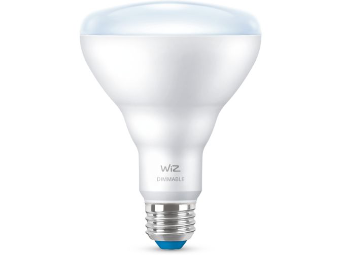 main.alt.text.RTP.Reflector 65W BR30 E26