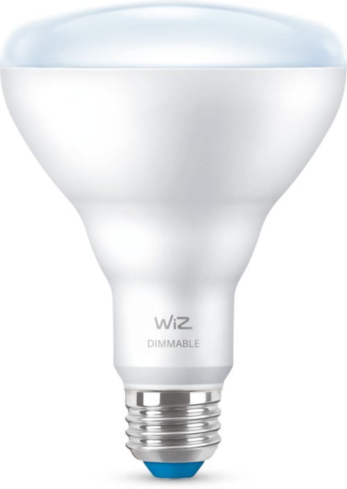 FOCO MODERNO Reflector 65 W BR30 E26