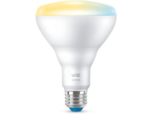 MODERN BULB Reflector 65W BR30 E26