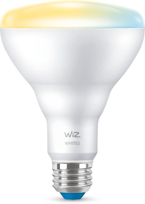 Reflector 65W BR30 E26