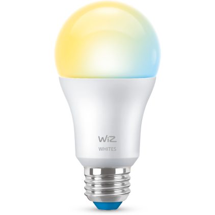 Close up of front of Bulb 60W A19 E26