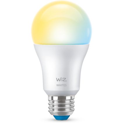 Gros plan de l’avant de Ampoule A19 E26 de 60 W