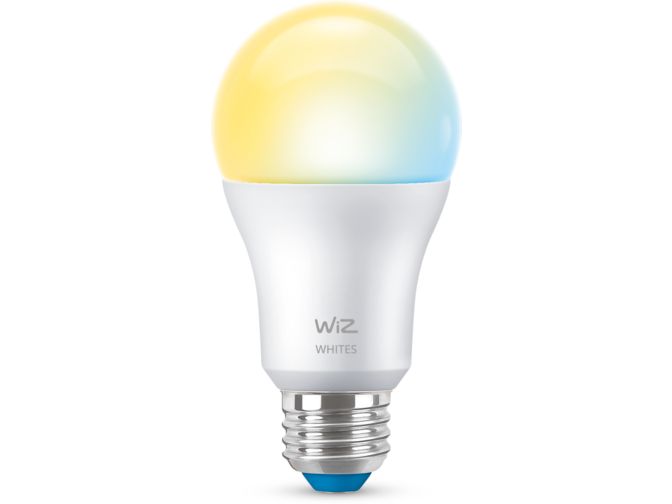 main.alt.text.RTP.Bulb 60W A19 E26